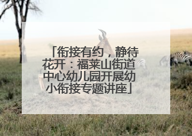 衔接有约，静待花开：福莱山街道中心幼儿园开展幼小衔接专题讲座