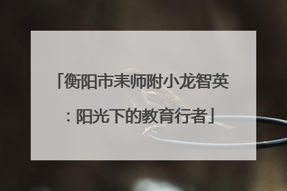 衡阳市耒师附小龙智英：阳光下的教育行者