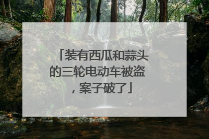 装有西瓜和蒜头的三轮电动车被盗，案子破了