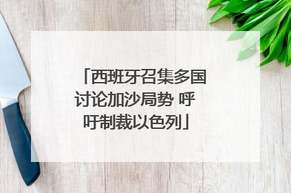 西班牙召集多国讨论加沙局势 呼吁制裁以色列