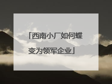 西南小厂如何蝶变为领军企业