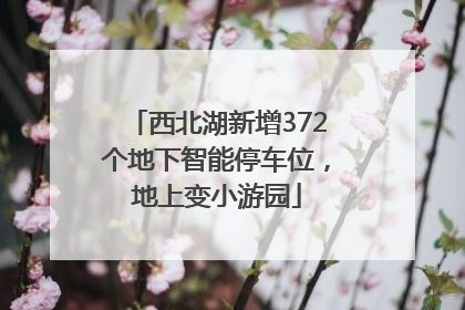 西北湖新增372个地下智能停车位，地上变小游园