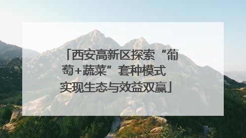 西安高新区探索“葡萄+蔬菜”套种模式 实现生态与效益双赢