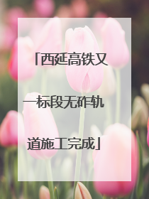 西延高铁又一标段无砟轨道施工完成