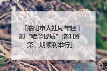 襄阳市人社局年轻干部“赋能提质”培训班第三期顺利举行