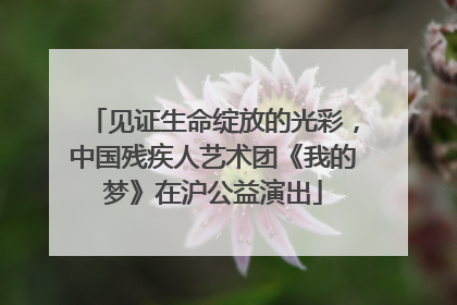 见证生命绽放的光彩，中国残疾人艺术团《我的梦》在沪公益演出
