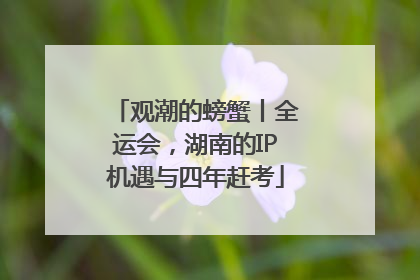 观潮的螃蟹丨全运会，湖南的IP机遇与四年赶考