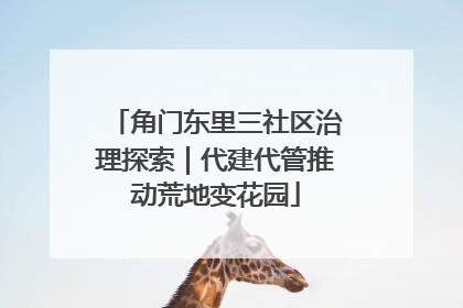 角门东里三社区治理探索｜代建代管推动荒地变花园