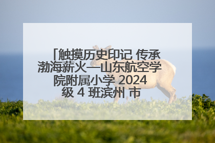 触摸历史印记 传承渤海薪火—山东航空学院附属小学 2024 级 4 班滨州 市档案馆研学实践活动
