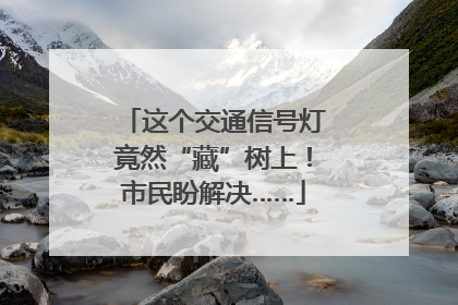 这个交通信号灯竟然“藏”树上！市民盼解决……