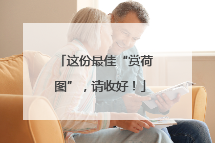 这份最佳“赏荷图”，请收好！
