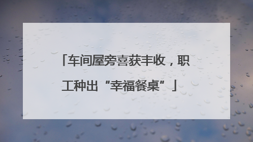 车间屋旁喜获丰收，职工种出“幸福餐桌”