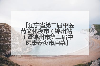 辽宁省第二届中医药文化夜市（锦州站）暨锦州市第二届中医康养夜市启幕