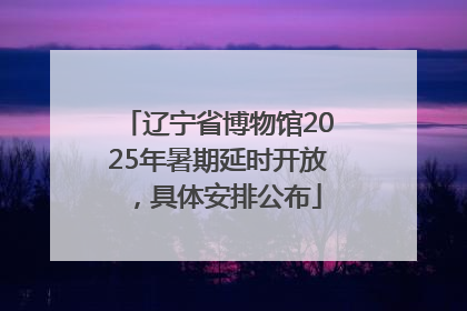 辽宁省博物馆2025年暑期延时开放，具体安排公布