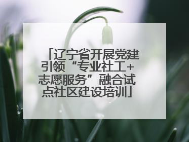 辽宁省开展党建引领“专业社工+志愿服务”融合试点社区建设培训
