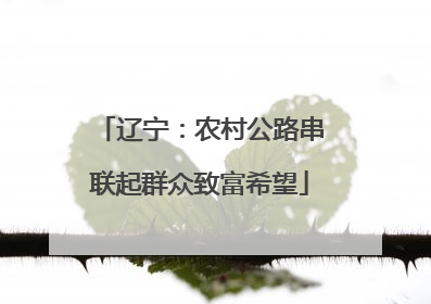 辽宁：农村公路串联起群众致富希望
