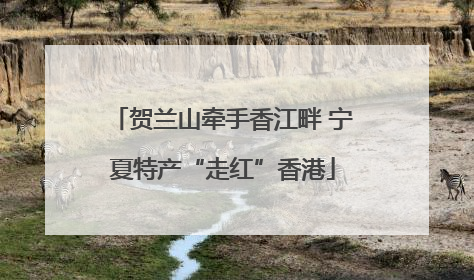 贺兰山牵手香江畔 宁夏特产“走红”香港