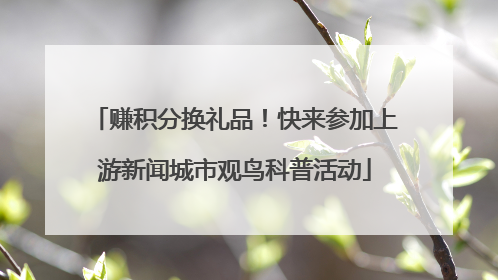 赚积分换礼品！快来参加上游新闻城市观鸟科普活动