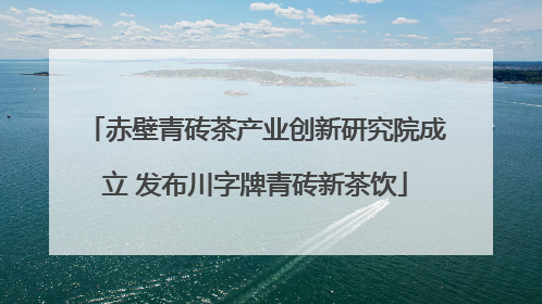赤壁青砖茶产业创新研究院成立 发布川字牌青砖新茶饮