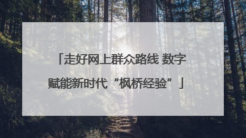 走好网上群众路线 数字赋能新时代“枫桥经验”
