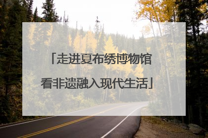走进夏布绣博物馆 看非遗融入现代生活