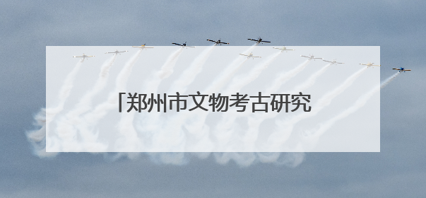 郑州市文物考古研究院多彩活动迎接“文化和自然遗产日”