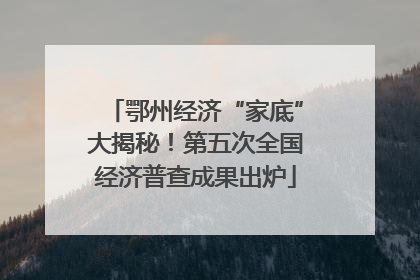 鄂州经济“家底”大揭秘！第五次全国经济普查成果出炉