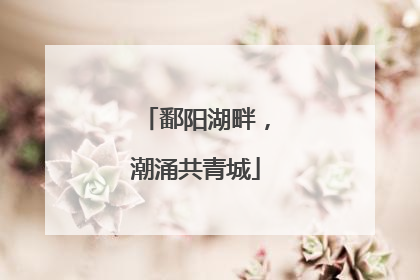 鄱阳湖畔，潮涌共青城