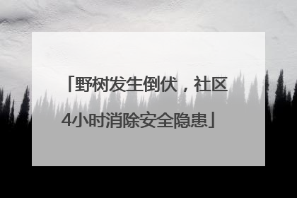 野树发生倒伏，社区4小时消除安全隐患
