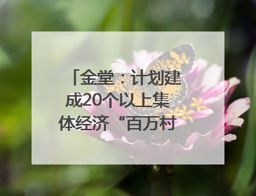 金堂：计划建成20个以上集体经济“百万村”｜成都县市新城高质量发展
