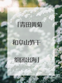青田黄菊和阜山笋干组团出海