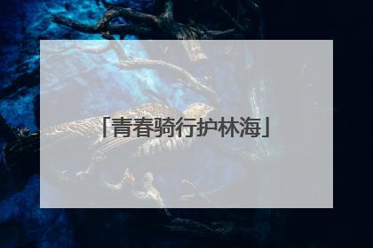 青春骑行护林海