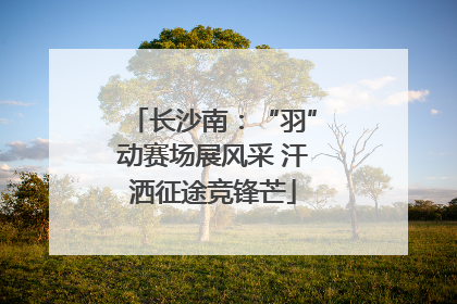 长沙南：“羽”动赛场展风采 汗洒征途竞锋芒