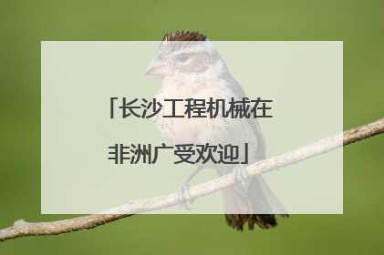 长沙工程机械在非洲广受欢迎