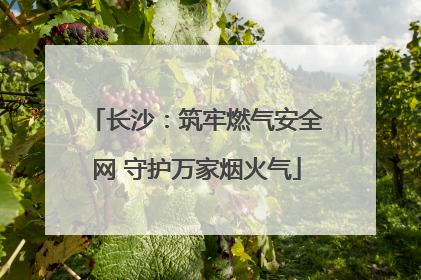 长沙：筑牢燃气安全网 守护万家烟火气