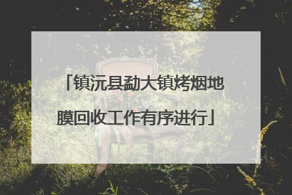 镇沅县勐大镇烤烟地膜回收工作有序进行
