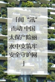 闻“汛”而动 中国太保产险丽水中支筑牢安全守护网