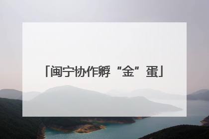 闽宁协作孵“金”蛋