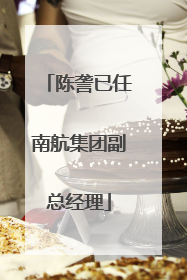陈詟已任南航集团副总经理