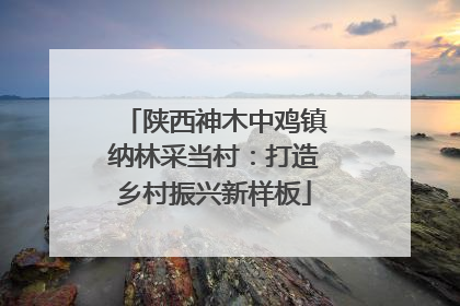 陕西神木中鸡镇纳林采当村：打造乡村振兴新样板