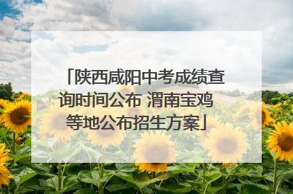 陕西咸阳中考成绩查询时间公布 渭南宝鸡等地公布招生方案