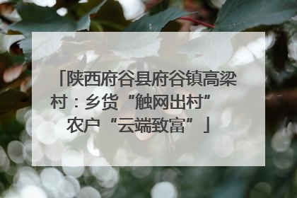 陕西府谷县府谷镇高梁村：乡货“触网出村” 农户“云端致富”