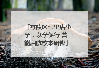零陵区七里店小学：以学促行 蓄能启航校本研修