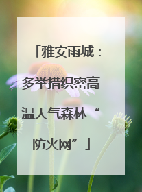 雅安雨城：多举措织密高温天气森林“防火网”