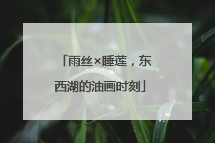 雨丝×睡莲，东西湖的油画时刻