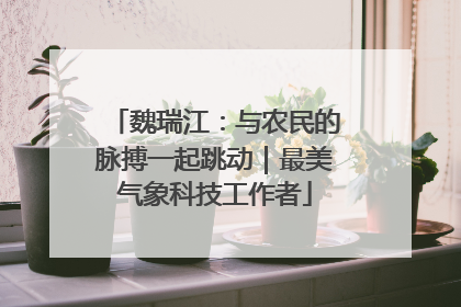 魏瑞江：与农民的脉搏一起跳动｜最美气象科技工作者