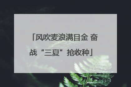 风吹麦浪满目金 奋战“三夏”抢收种