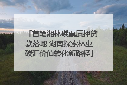 首笔湘林碳票质押贷款落地 湖南探索林业碳汇价值转化新路径