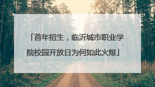 首年招生，临沂城市职业学院校园开放日为何如此火爆