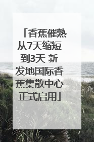 香蕉催熟从7天缩短到3天 新发地国际香蕉集散中心正式启用